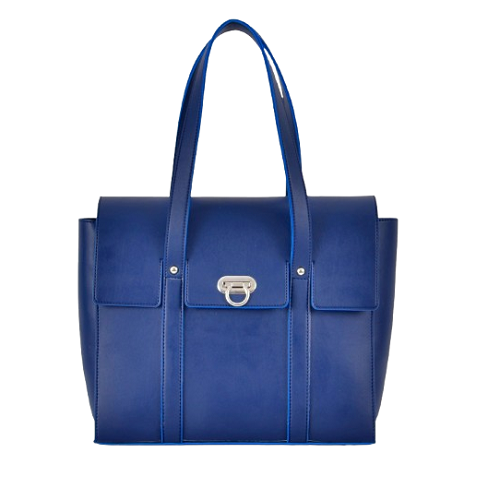 Stylish Blue Women Casual Bag